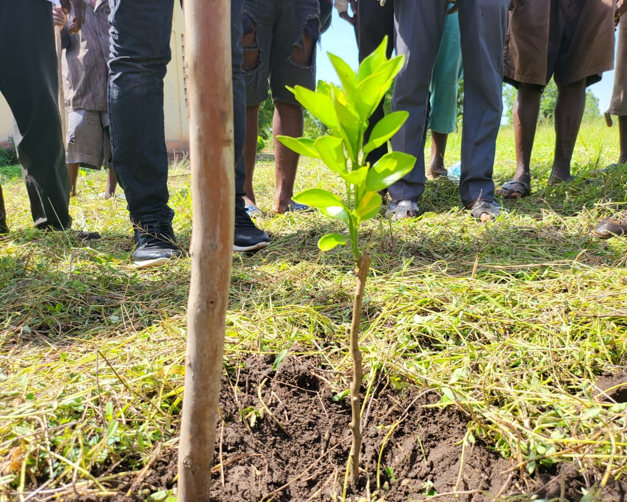 Atelier de fabrication de compost