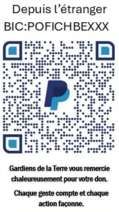 Depuis l'étranger - PayPal