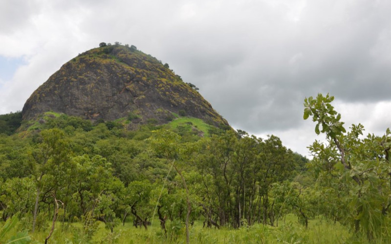 Conservation de la réserve naturelle de Fazao