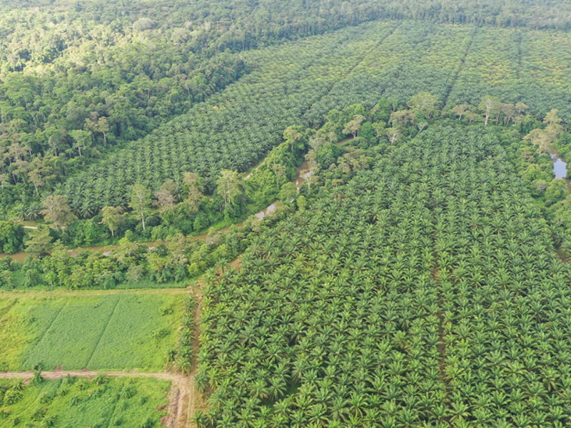 Corridor écologique transfrontalier